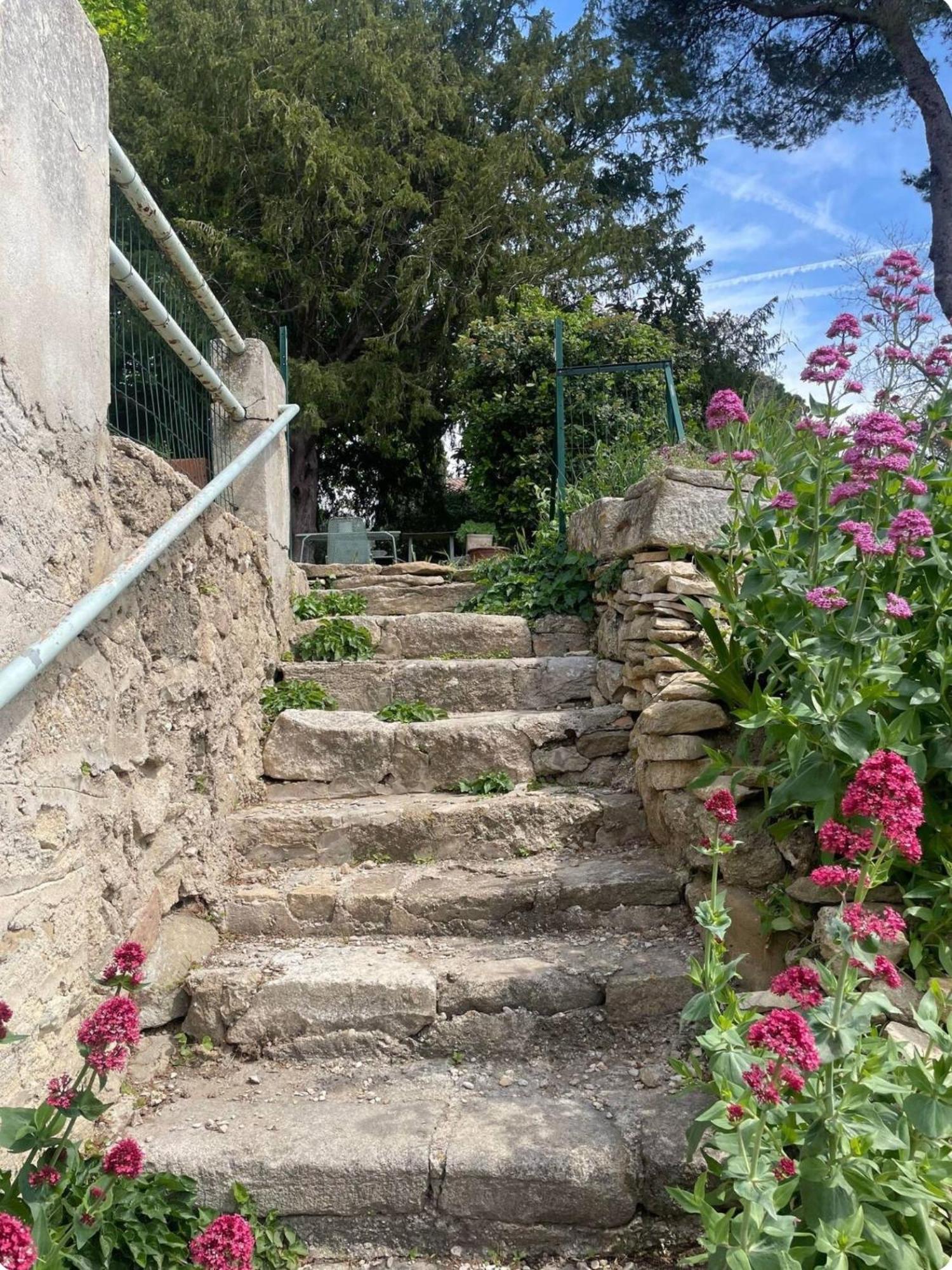 Séjour chez l'habitant Mas Berenger Beaumes-de-Venise