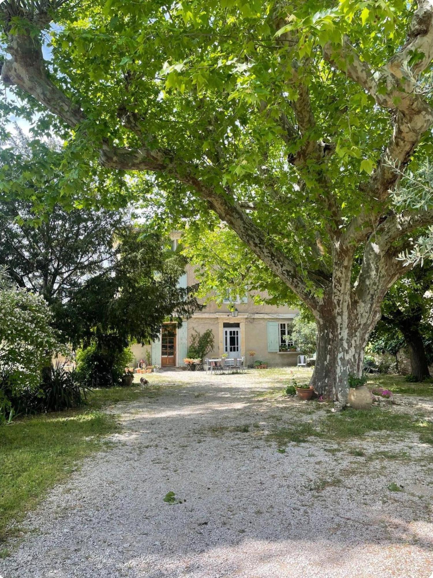 Séjour chez l'habitant Mas Berenger Beaumes-de-Venise